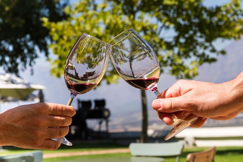 Dégustez certains des meilleurs vins du monde