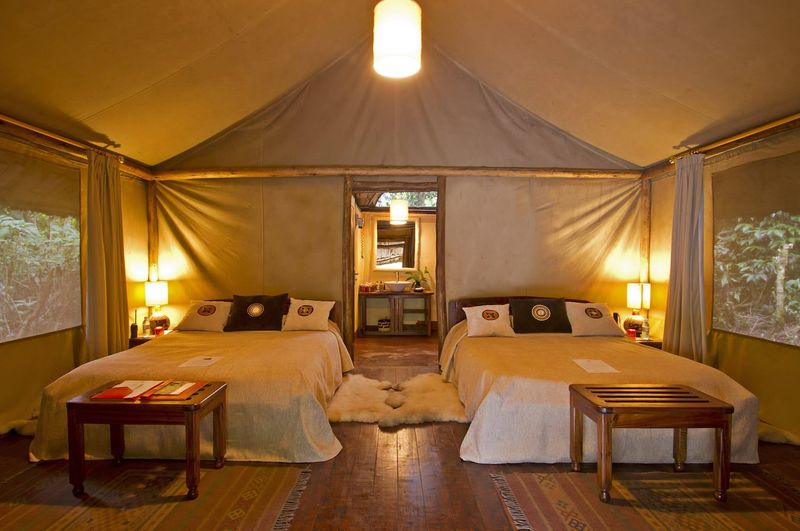 Geräumiges Zelt des Sanctuary Gorilla Forest Camps