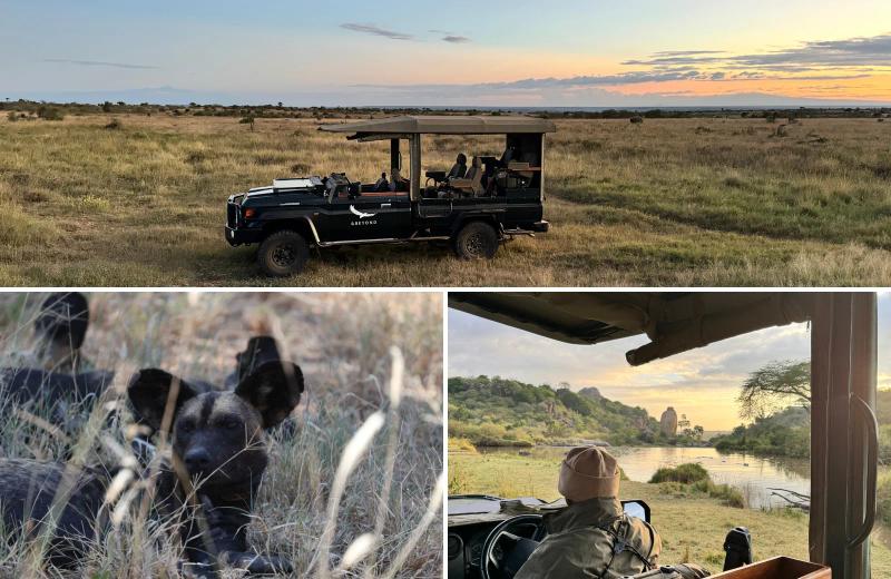 Safari collage showing a game vehicle at sunset, an African wild dog resting in tall grass, and a view of the river and surrounding landscape from a safari vehicle.