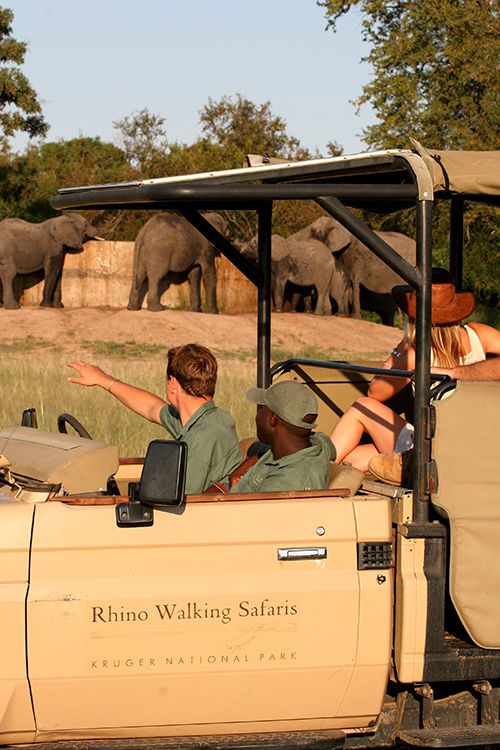 Image Credit: Rhino Post Safari Lodge