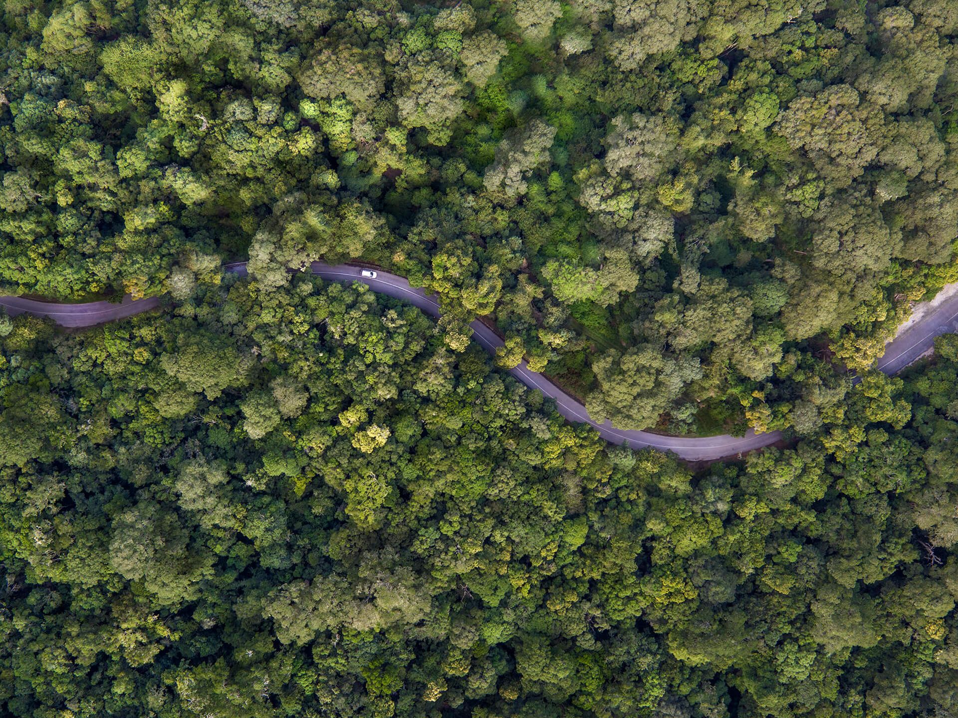 Die besten Aktivitäten an der Garden Route
