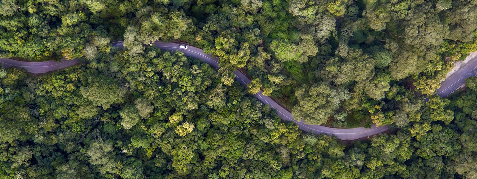 Die besten Aktivitäten an der Garden Route