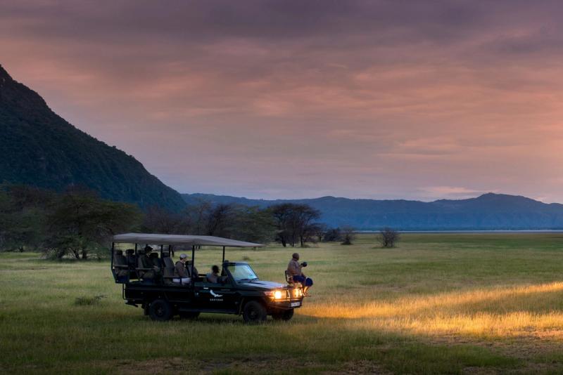 Embarque em uma aventura noturna de safari