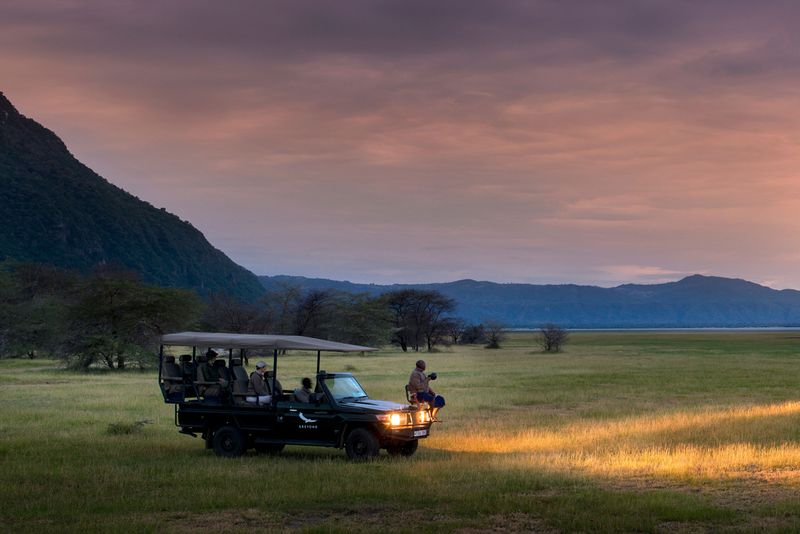 Embarque em uma aventura noturna de safari