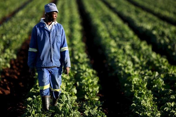Expropriation des terres : quelles conséquences sur votre voyage ?
