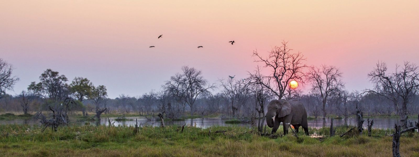 Welcome to the Jungle: How Botswana Became Africa’s Success Story