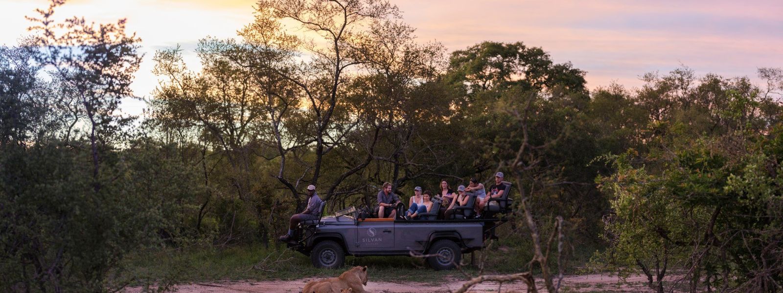 A Week of Unbelievable Silvan Wildlife Sightings: Silvan Safari Blog