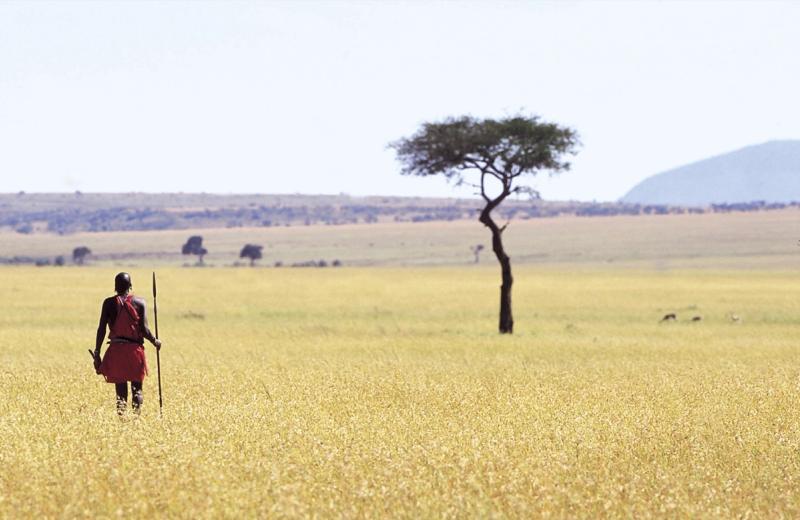 Massai in traditioneller Kleidung in der Savanne