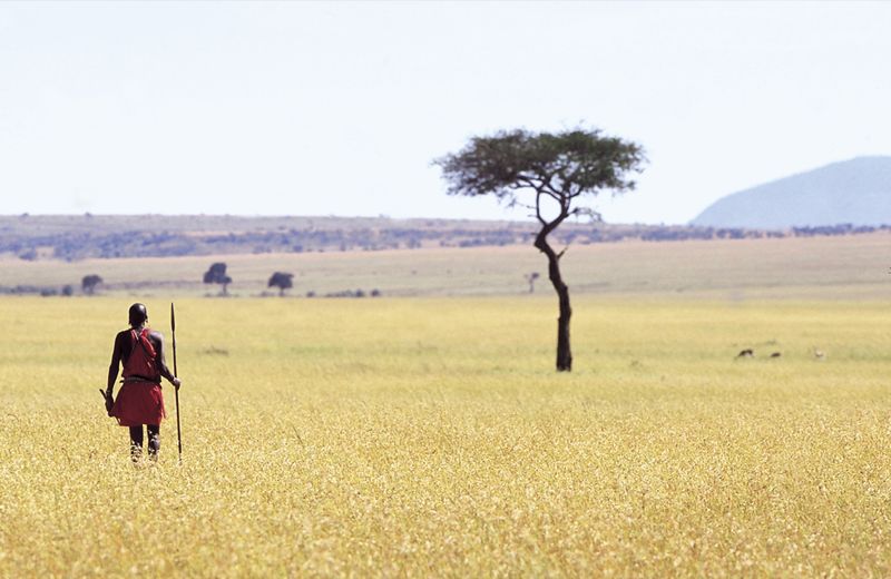 Massai in traditioneller Kleidung in der Savanne
