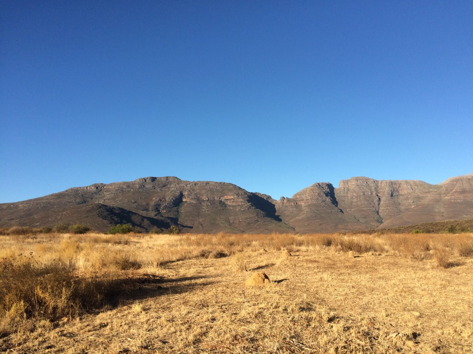 Afrique du Sud – Épisode 4 : En route pour les montagnes du Cederberg