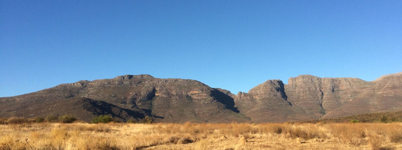 Afrique du Sud – Épisode 4 : En route pour les montagnes du Cederberg