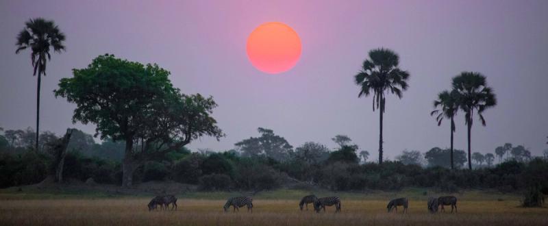 The evening sun in Botswana 
