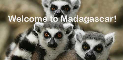 Madagascar Update