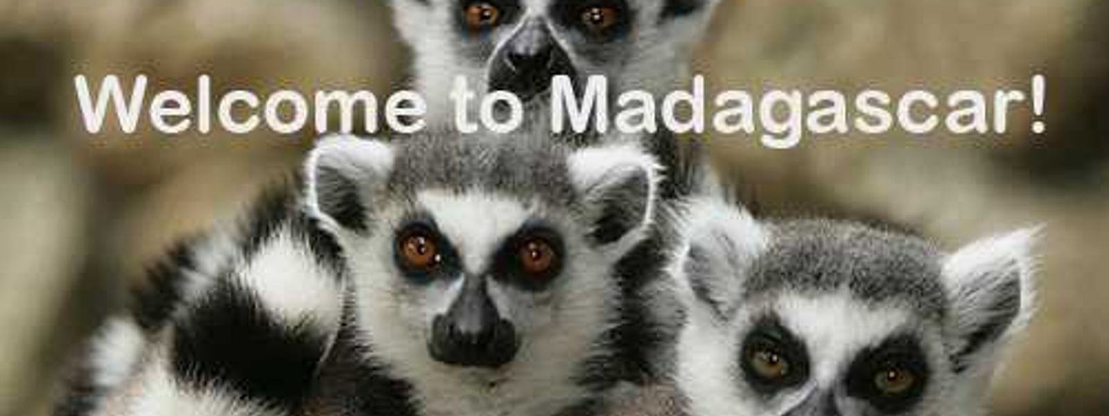 Madagascar Update