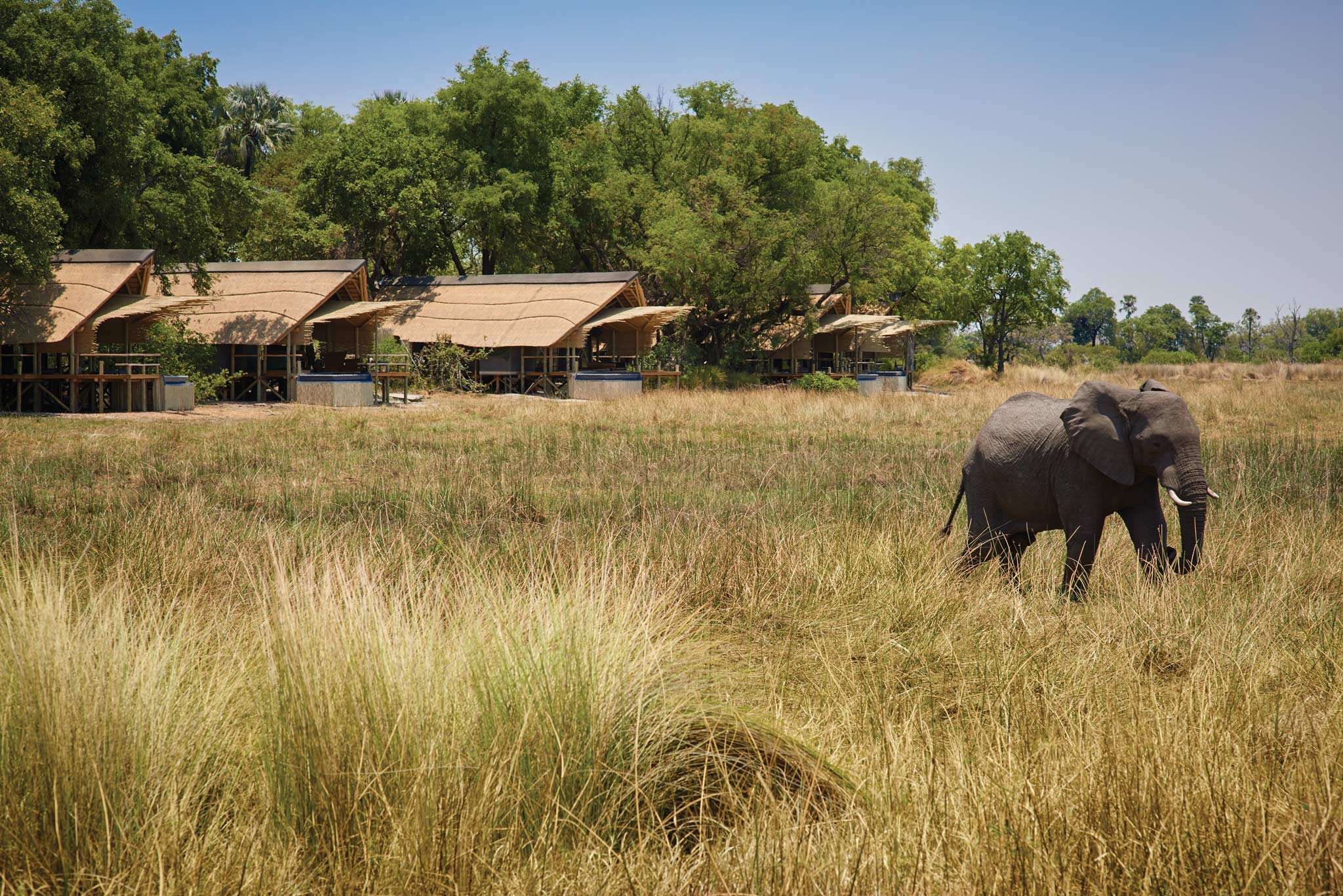 3 Best Eco-friendly Safari Lodges