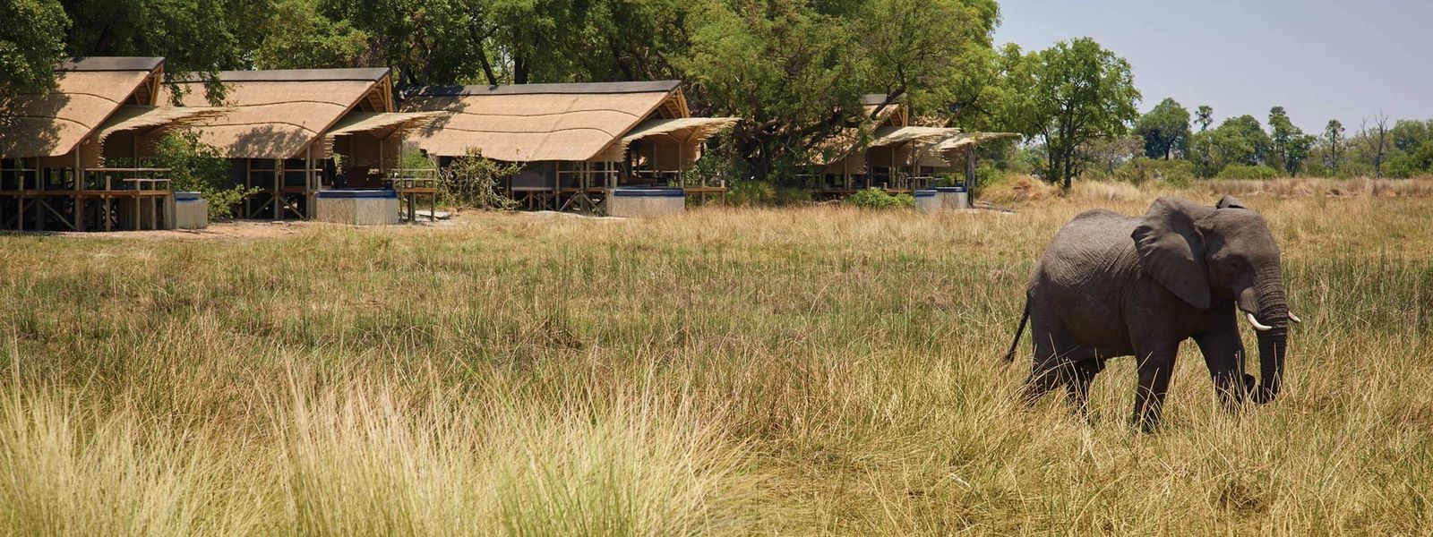 3 Best Eco-friendly Safari Lodges