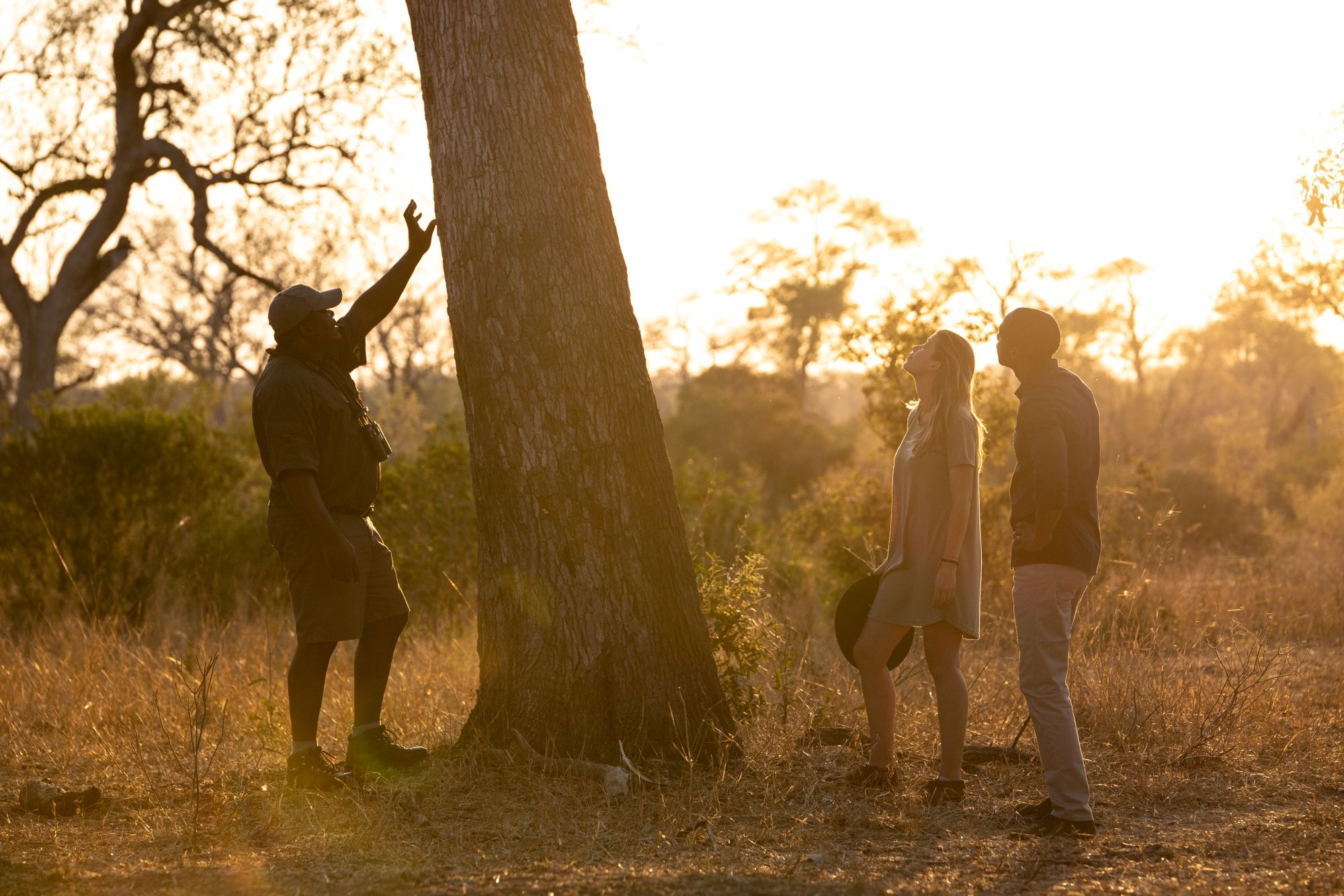FAQs About African Safaris