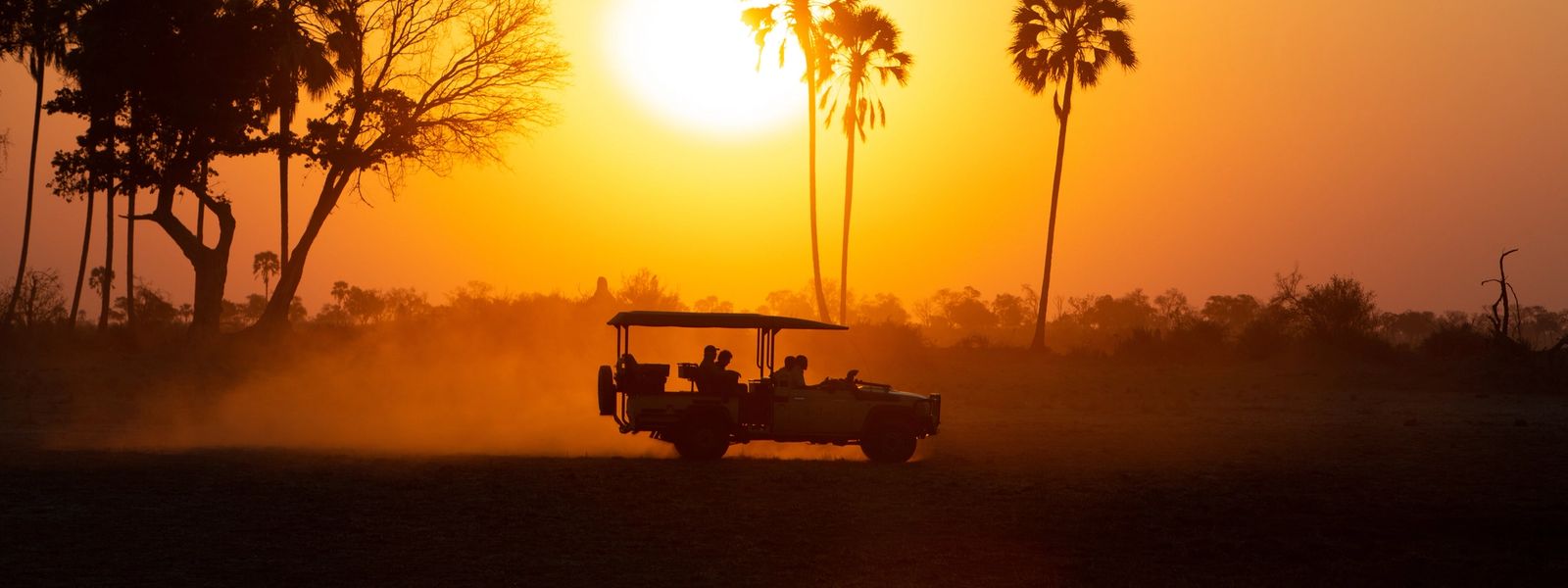 Our Top African Safari Tours for 2023