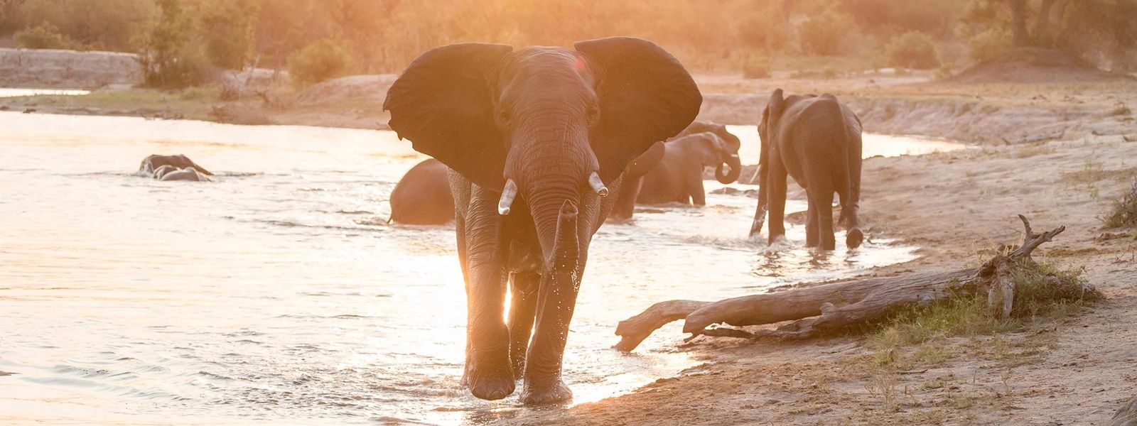 24 horas de safari en el Kruger: todo lo que siempre quisiste saber