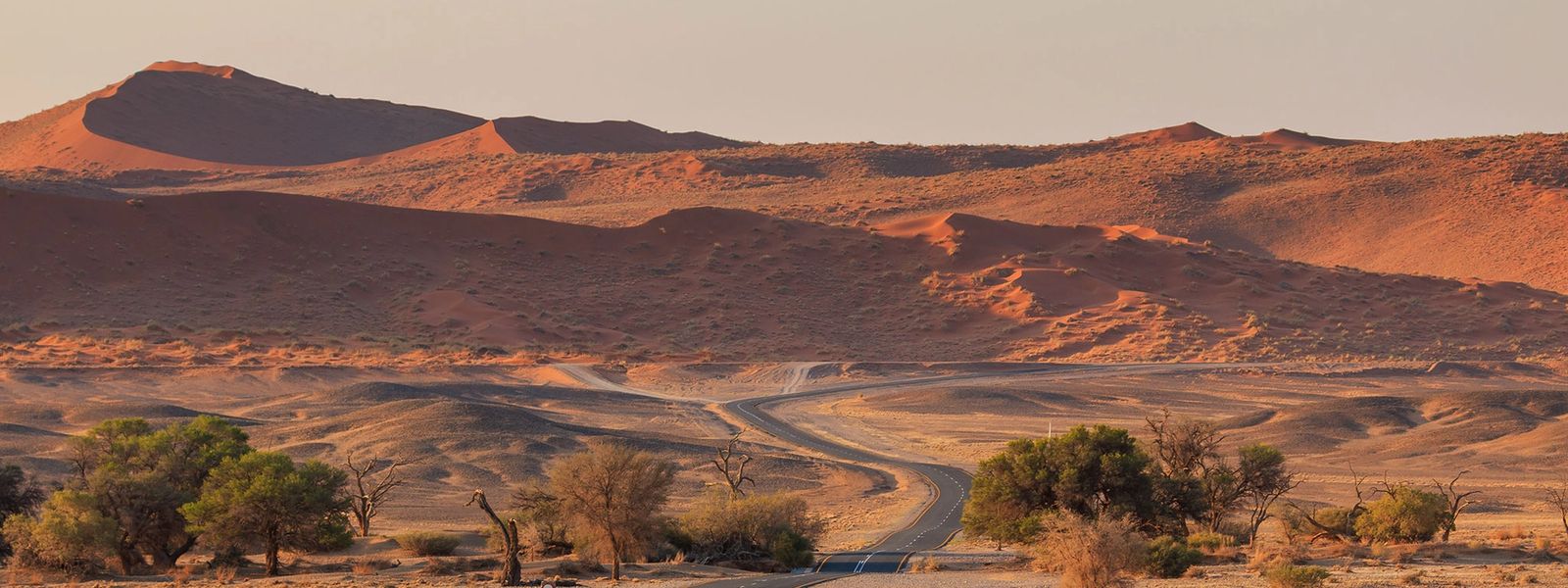 Horizontes Infinitos: Explorando Namibia