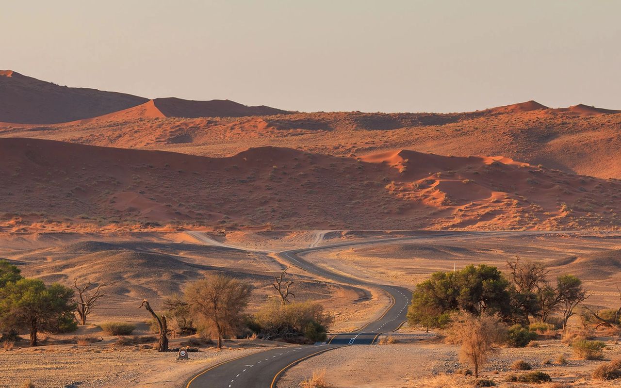 Une Route, des Horizons Infinis : Un Road Trip en Namibie