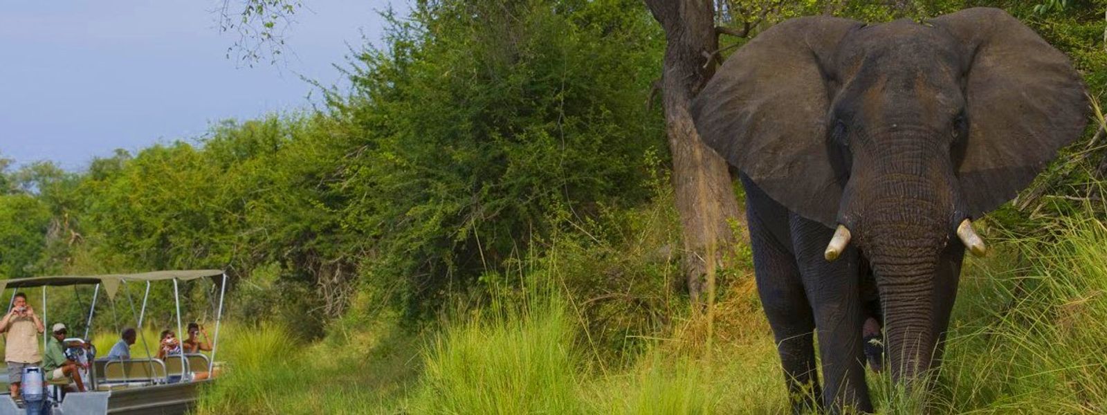Traveller's Tales | Romantic Getaway to Victoria Falls