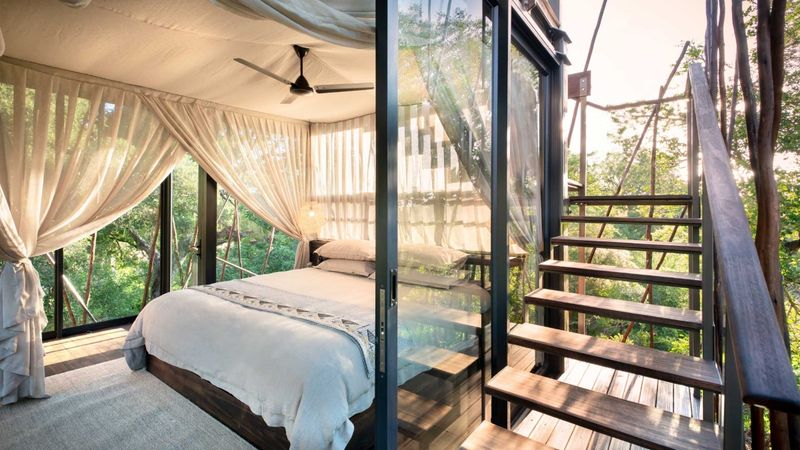 La luxueuse Ngala Treehouse est un refuge isolé pour la nuit