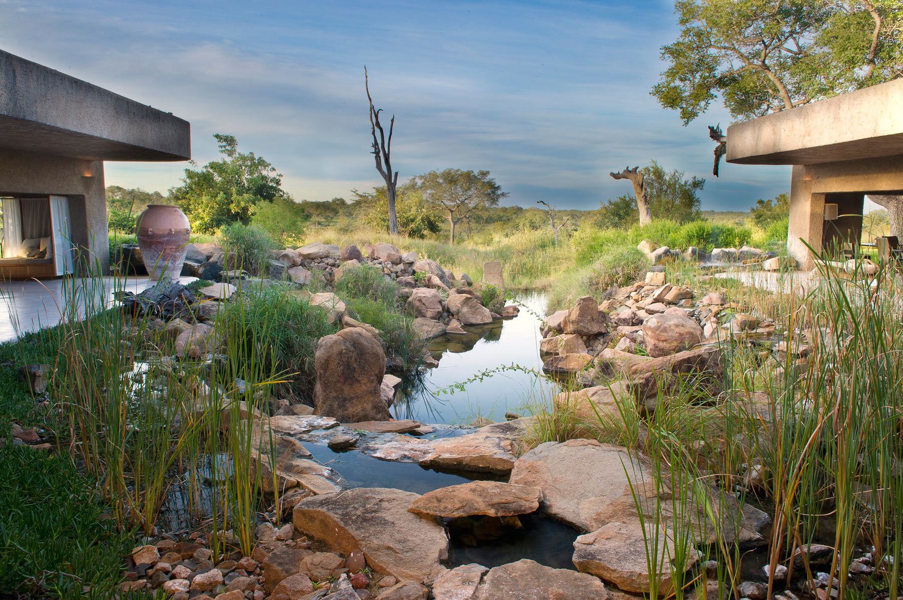 Blend into the Bush: Safari at Sabi Sabi Earth Lodge