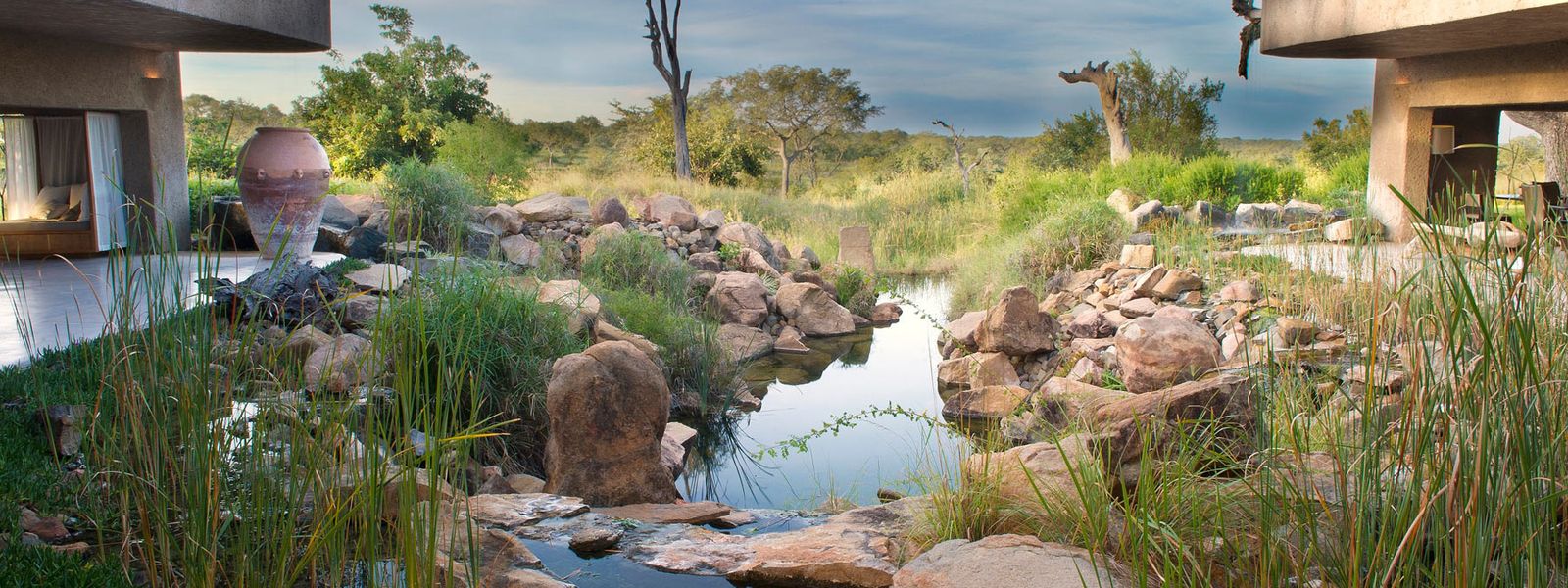 Blend into the Bush: Safari at Sabi Sabi Earth Lodge
