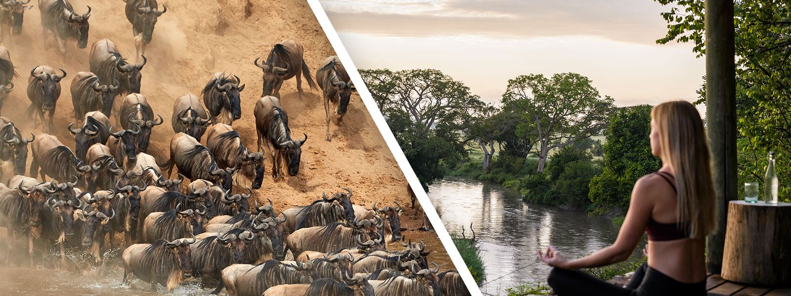 Wildebeest and Wellness Safari in Africa