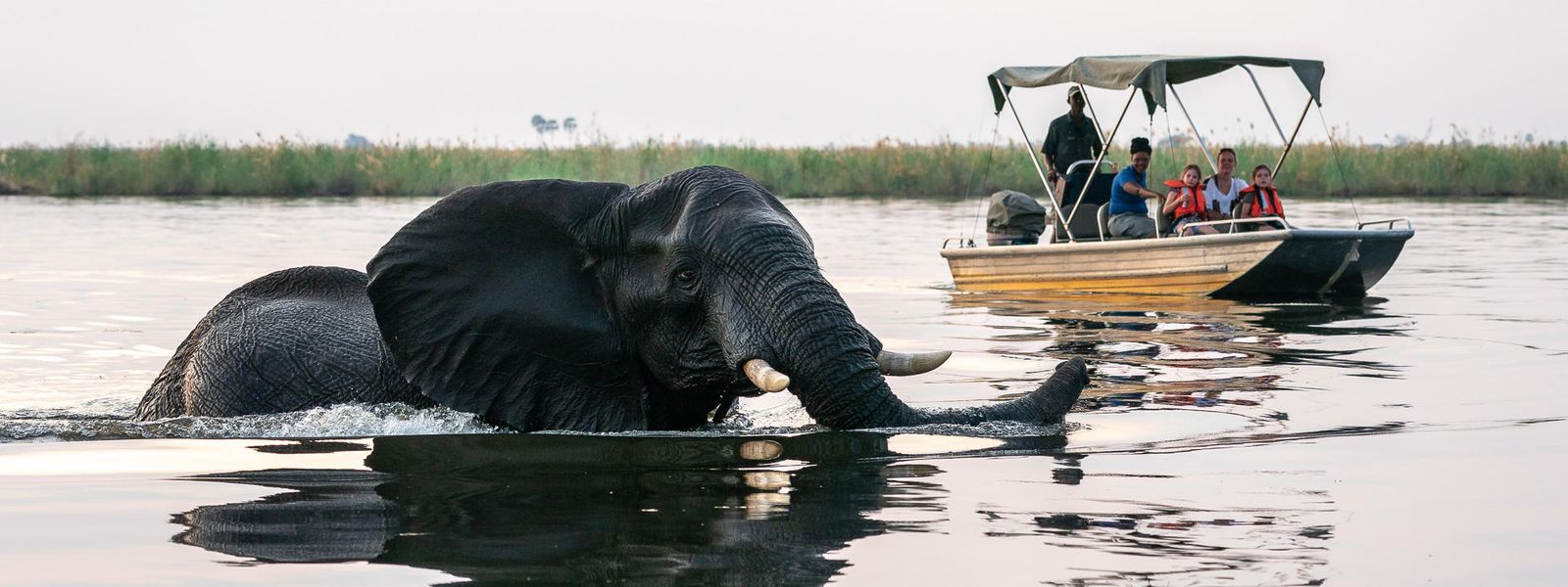 When is the Best Time to Visit Botswana for a Safari?