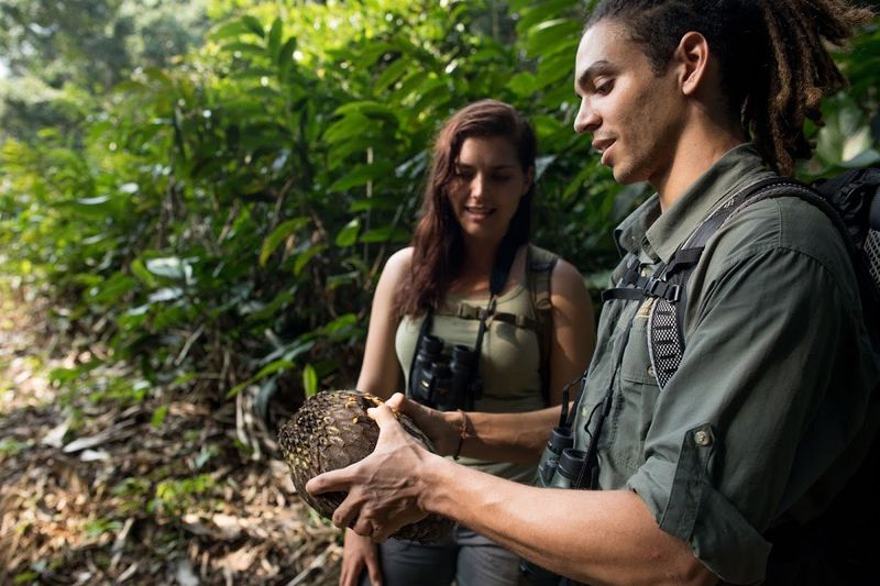 Two guests discover the jungle flora of Odzala National Park while gorilla trekking in Congo