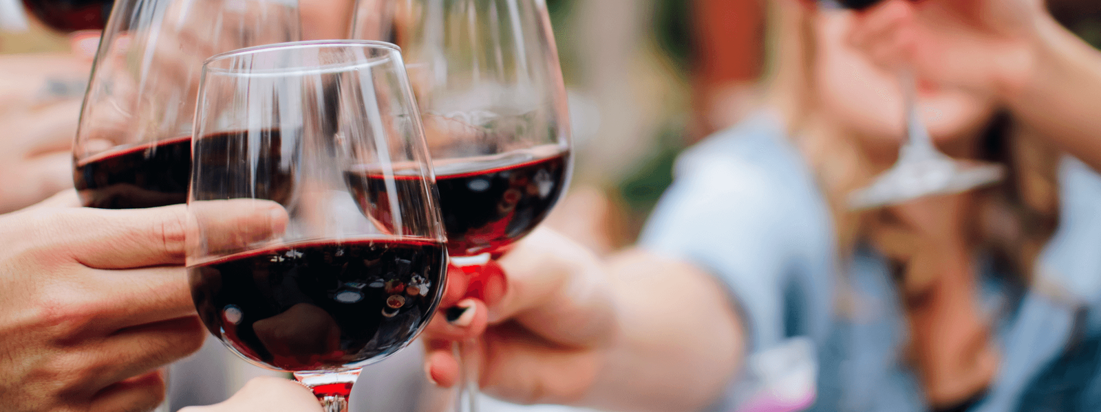 Vins d'Afrique du Sud - Nos vignobles favoris dans la région du Cap