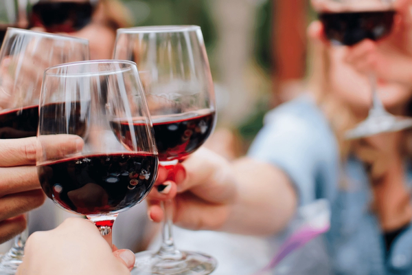 Vinhas do Cabo | Vinícolas na África do Sul que você precisa conhecer