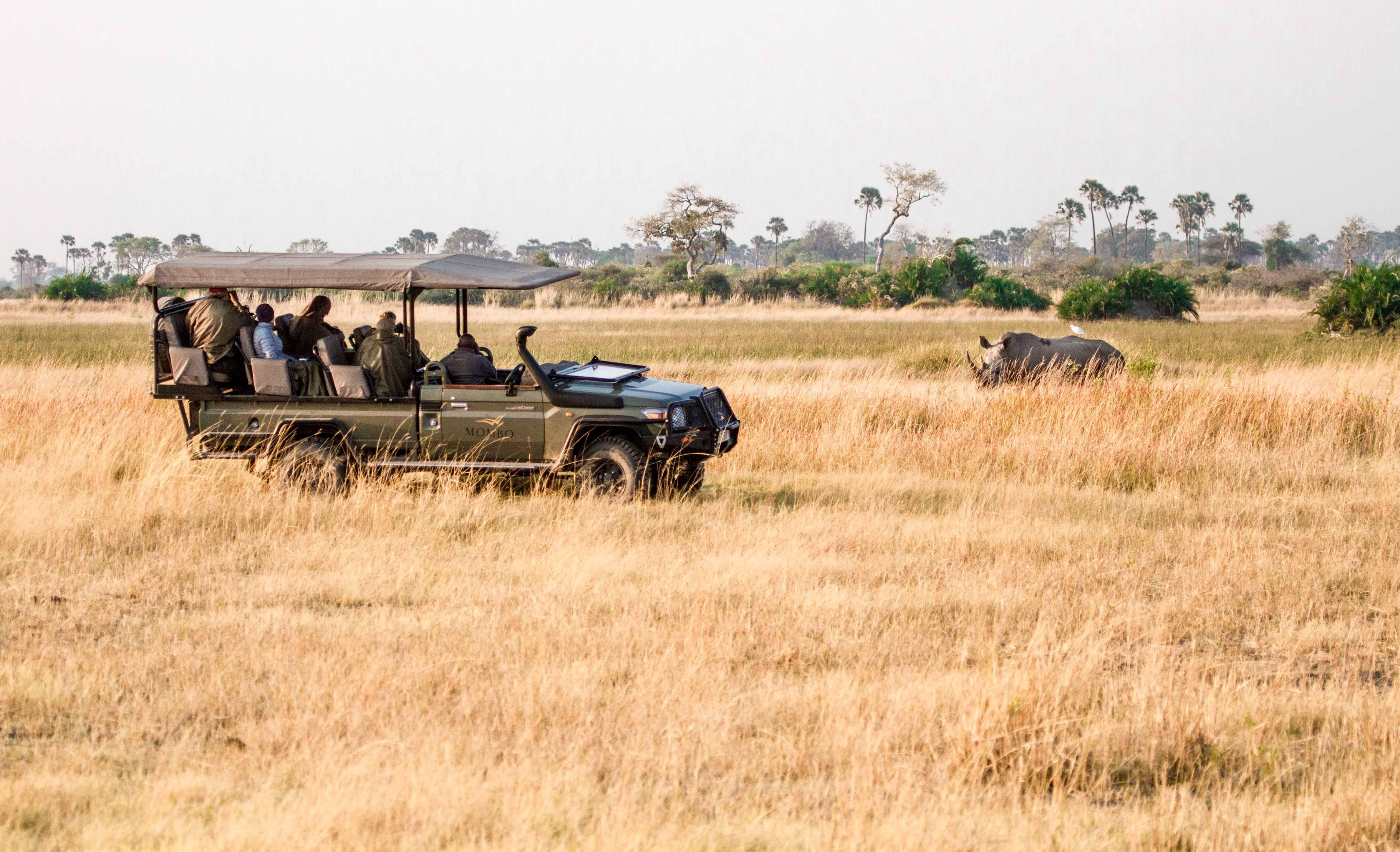 Tendências de Viagens de Safári de Luxo na África em 2025