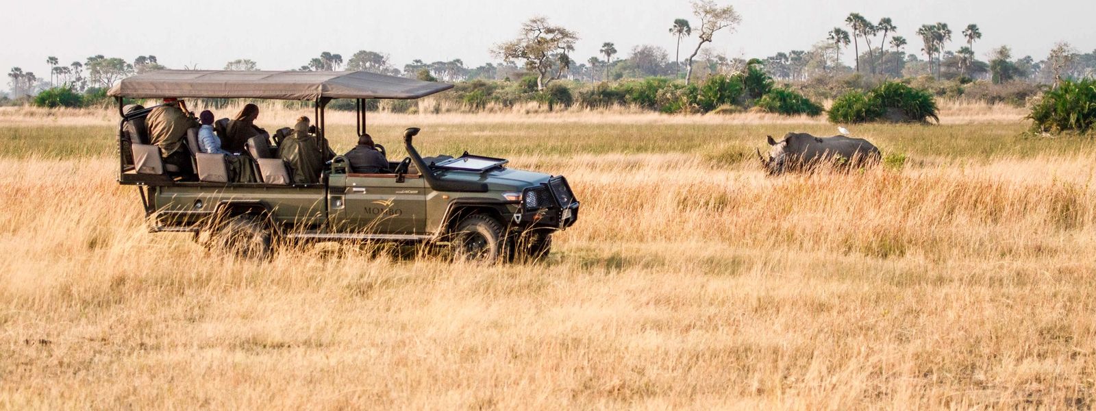 Tendências de Viagens de Safári de Luxo na África em 2025