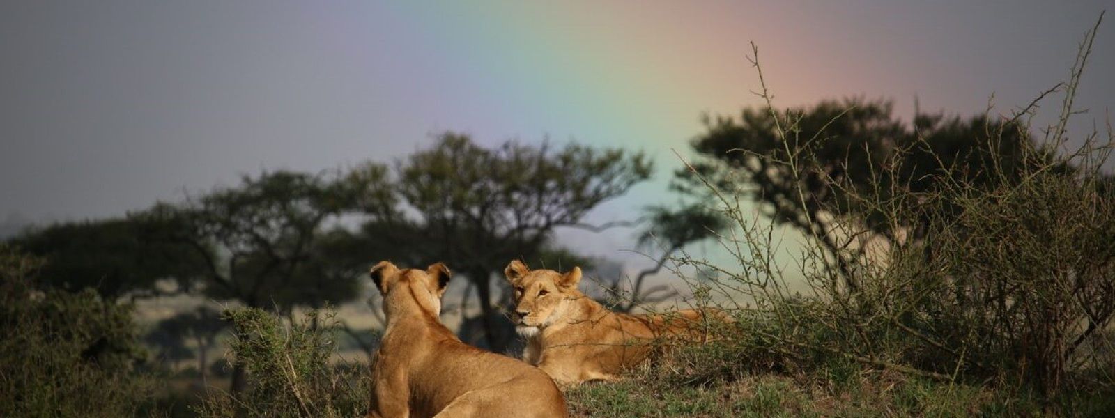 21 Gründe, warum Sie niemals nach Kenia reisen sollten