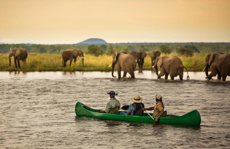 Guests kayak on the Zambezi River, viewing elephants who drink from the water, a must on a Zimbabwe safari tour.