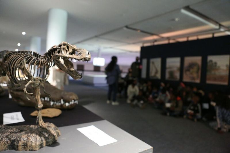 Dinosaurierskelett im Iziko South African Museum in Kapstadt