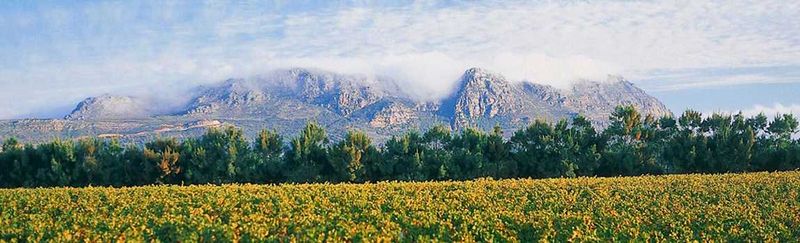 The magnificent views of Constantia Uitsig