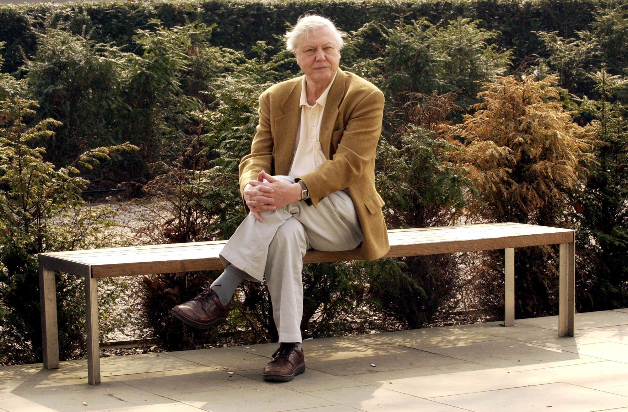 How Sir David Attenborough Inspired a Lifetime of African Travel