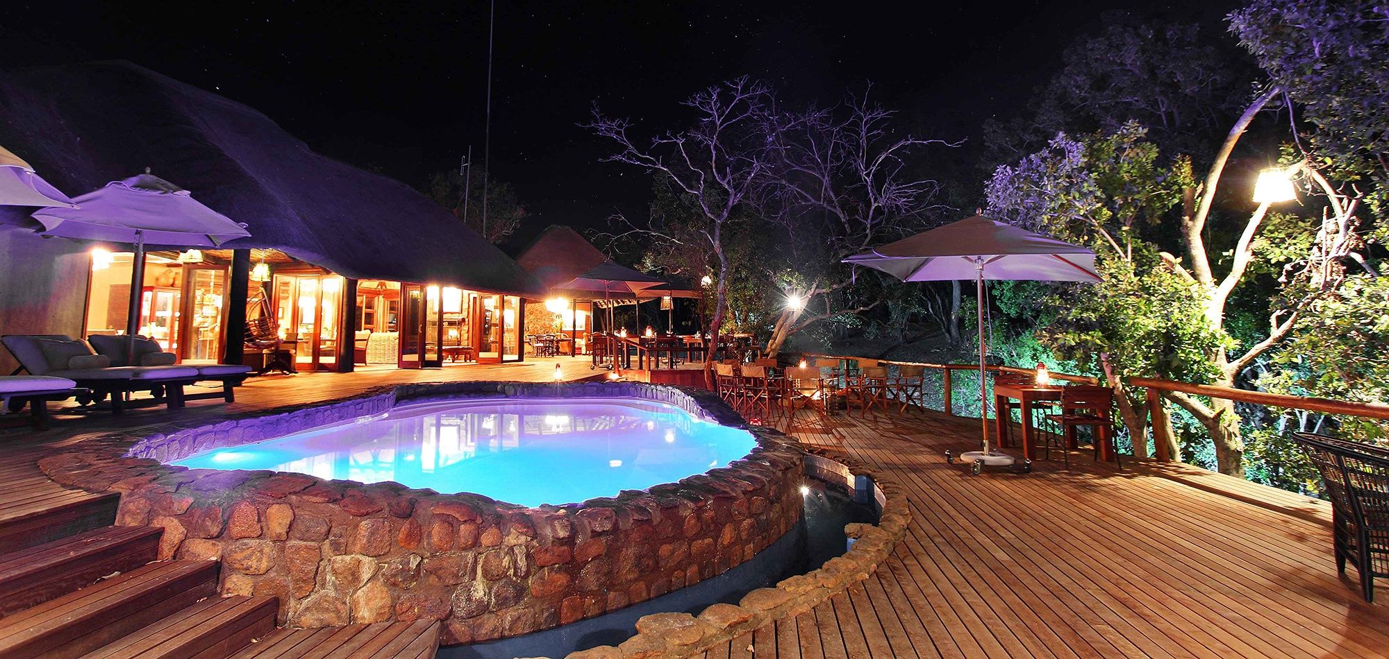 Safari perto de Joanesburgo | Portfólio The Residence