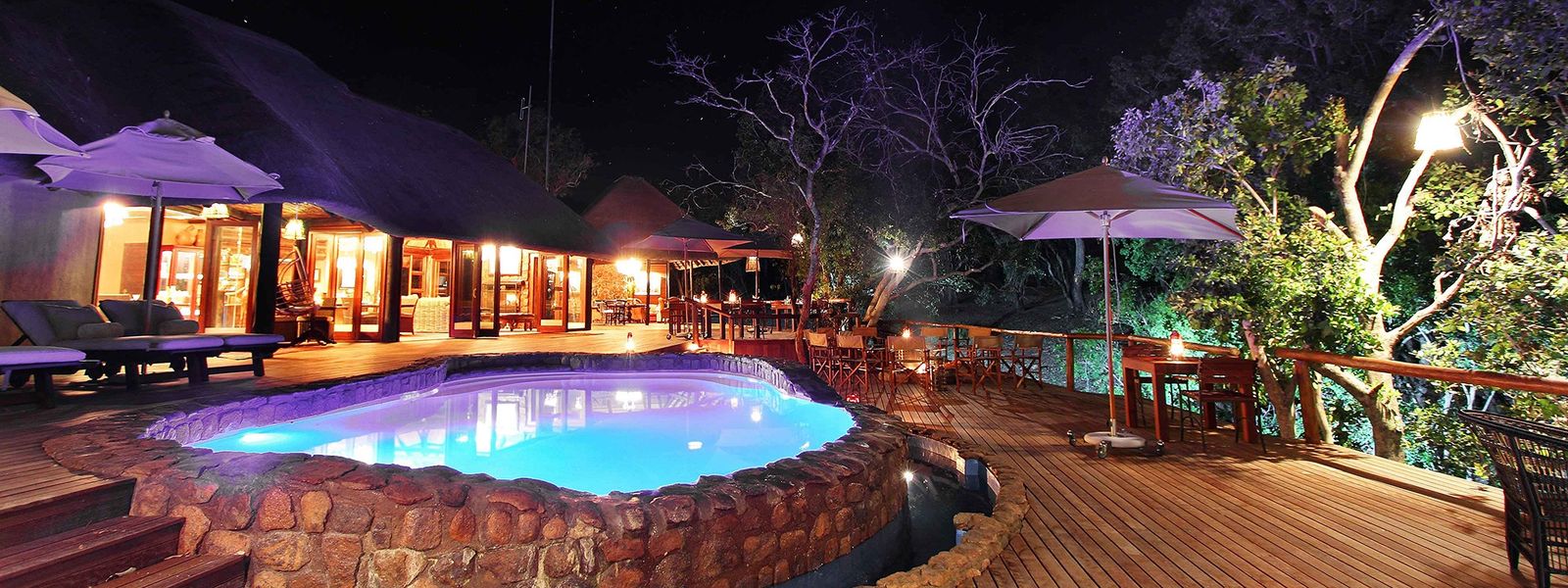 Safari perto de Joanesburgo | Portfólio The Residence