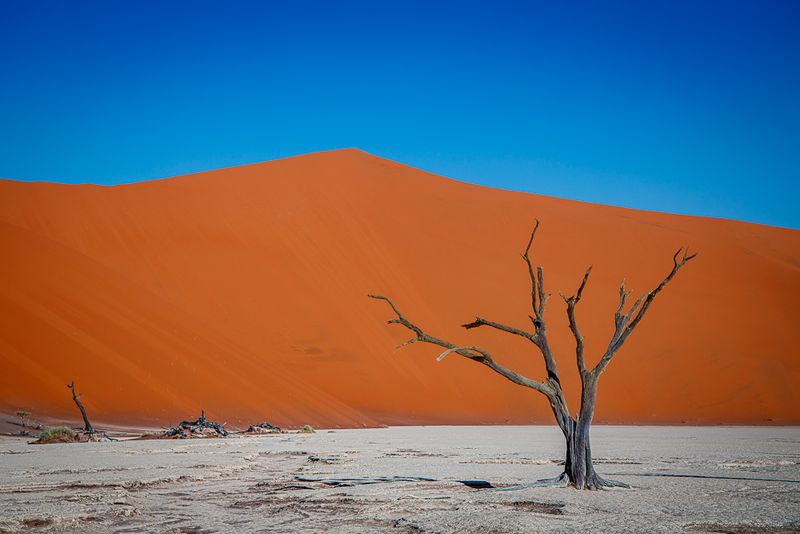 Dramatic landscapes at Deadvlei, a must-go region on a Namibia Safari