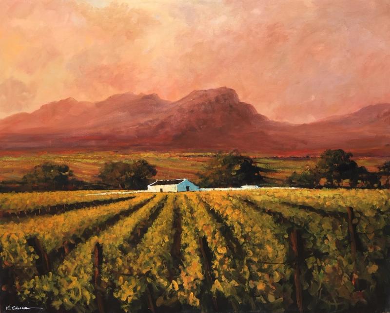 Mauro Chiarla's painting of the Winelands