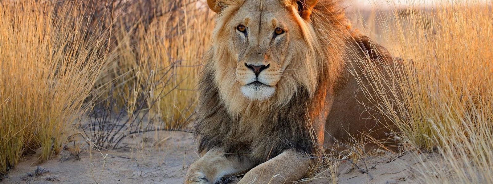 50 Photos That Will Make You Fall In Love With Africa All Over Again
