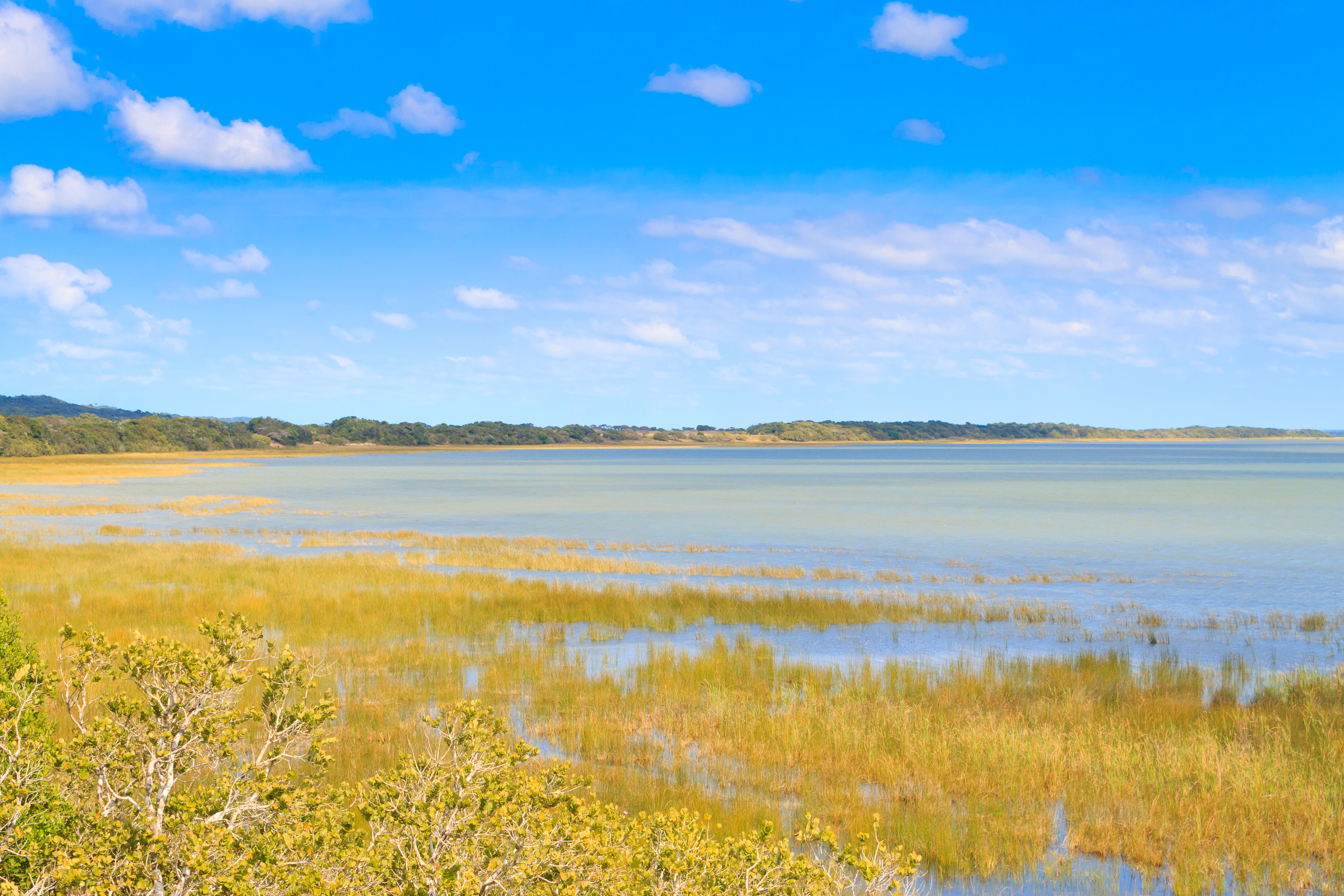 Ihr iSiMangaliso Wetland Park Safari Guide