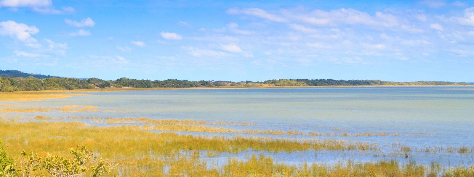 Ihr iSiMangaliso Wetland Park Safari Guide