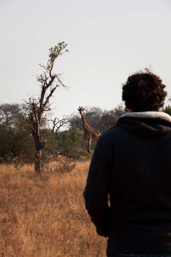 Me Looking at a giraffe