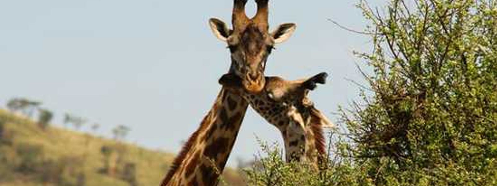 Exploring East Africa with Singita - Part 2